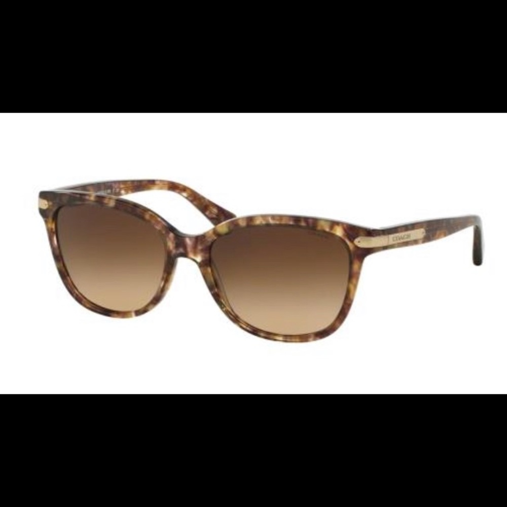 Coach HC 8132 (L109) sunglasses